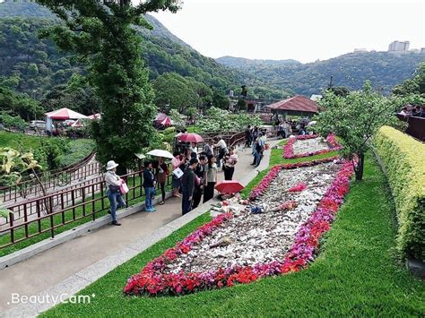 陽明山花葬區|臺灣殯葬資訊網